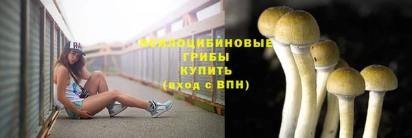 метадон Абаза