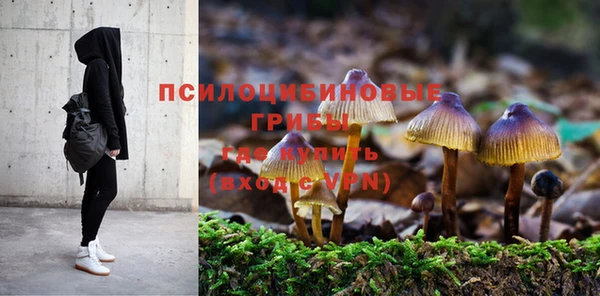 метадон Абаза