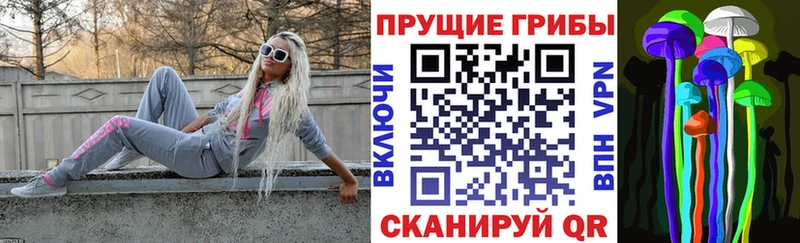 Псилоцибиновые грибы мицелий  купить закладку  Азнакаево 